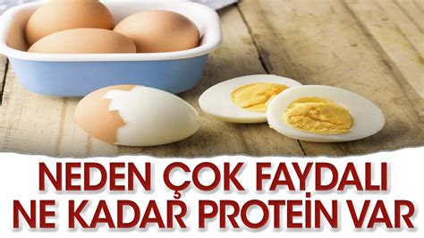1 haşlanmış yumurtada ne kadar protein var